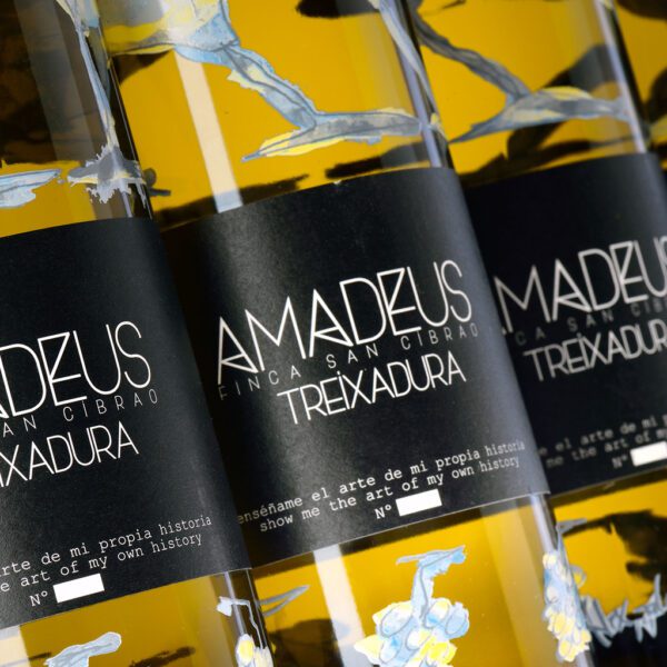 fotografía Costeira Amadeus Treixadura caja de 6 botellas
