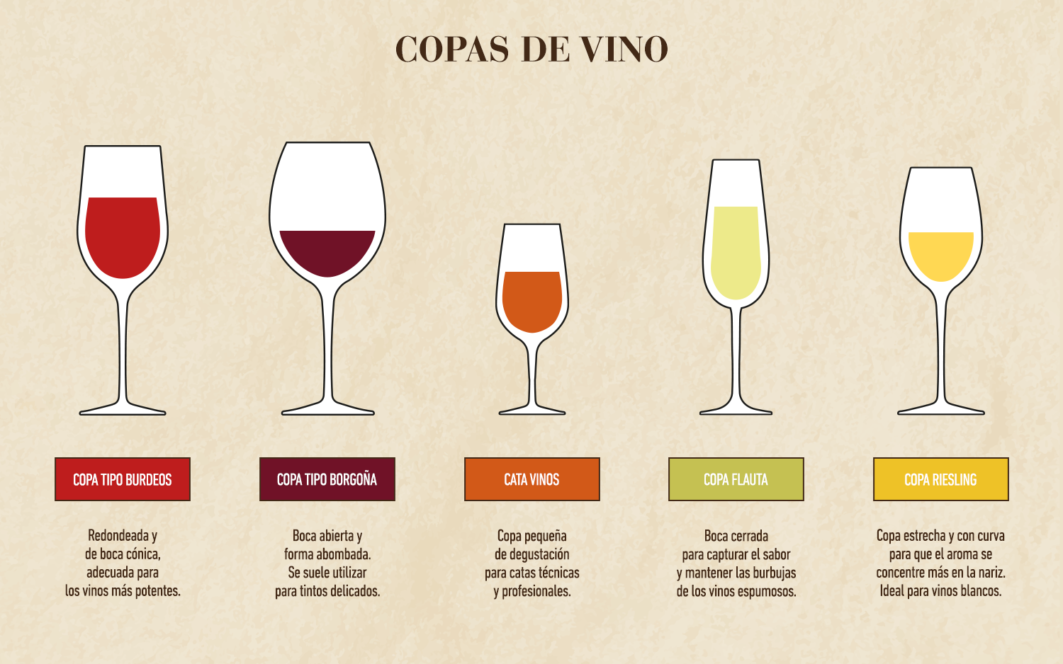 infografia como elegir las copas para cada vino