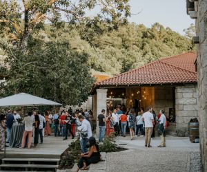 Imagen Costeira enoturismo Noite das Perseidas